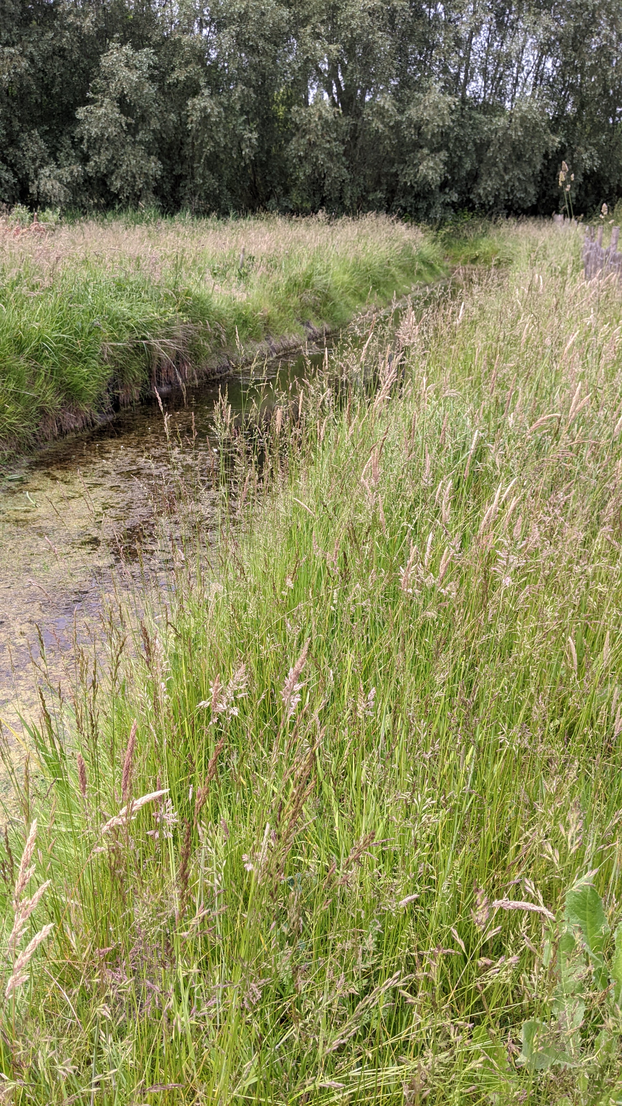 Sortie régionale de la section Hauts de France (Nord - Pas-de-Calais - Somme)  